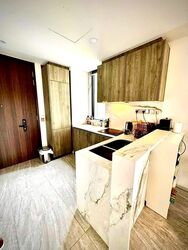 Leedon Green (D10), Condominium #559163661